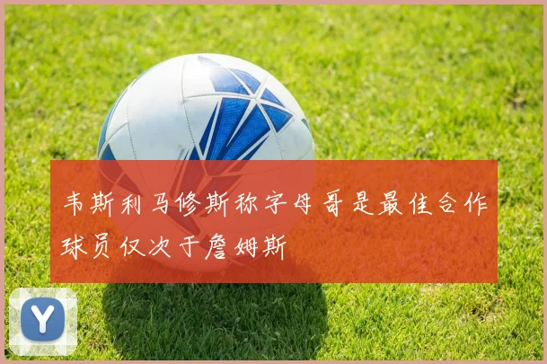 韦斯利马修斯称字母哥是最佳合作球员仅次于詹姆斯