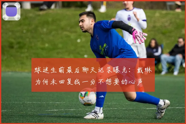 球迷生前最后聊天记录曝光：戴琳为何未回复我一分不想要的心声