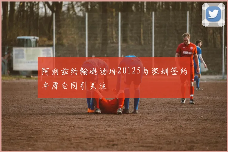 阿利兹约翰逊场均20125与深圳签约丰厚合同引关注