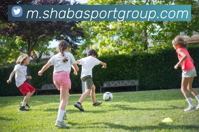 沙巴足球官网平台生态图